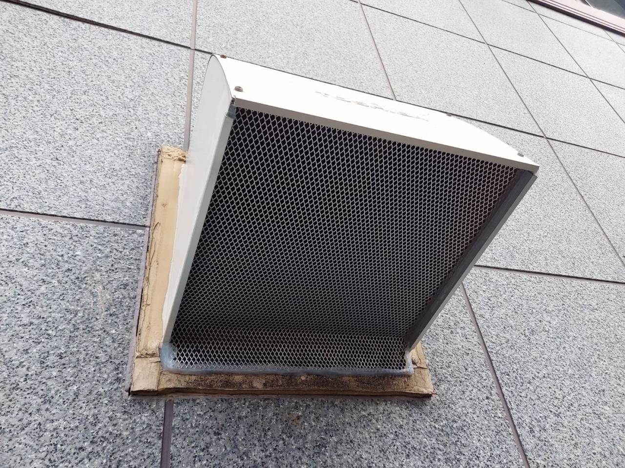 ハクビシンの糞処理
